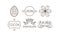 Cocoa and chocolate line icons set, labels and badges vector Illustration