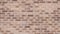 Cocoa colored brick mottled wall with milk