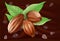 Cocoa fruit on a chocolate background