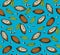 Cocoa Fruits. Vector drawing