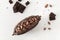 Cocoa pod with cocoa beans and pieces of chocolate on a white background. Organic food. Natural chocolate. Top view. chocolatier,