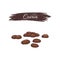 Cocoa seeds in engraving style with inscription, vector illustration isolated.