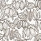 Cocoa vector seamless pattern. Chocolate cocoa beans background. Vector hand drawn illustration. Vintage style illustration