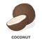 Coconat.Different kinds of nuts single icon in cartoon style rater,bitmap symbol stock illustration.