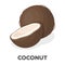Coconat.Different kinds of nuts single icon in cartoon style vector symbol stock illustration.
