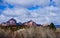 Coconino National Forest