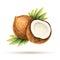 Coconut