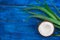 Coconut and aloe vera green leaves on a blue wooden table,natural cosmetics ingredients