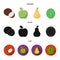 Coconut, apple, pear, watermelon.Fruits set collection icons in cartoon,black,flat style vector symbol stock