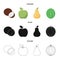 Coconut, apple, pear, watermelon.Fruits set collection icons in cartoon,black,outline style vector symbol stock