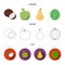 Coconut, apple, pear, watermelon.Fruits set collection icons in cartoon,outline,flat style vector symbol stock