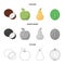 Coconut, apple, pear, watermelon.Fruits set collection icons in cartoon,outline,monochrome style vector symbol stock