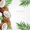 Coconut background Vector realistic. Layout template tropic exotic cards