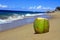 Coconut on beach of ocean