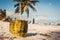 Coconut on the beach at Playa Paraiso, Tulum, Quintana Roo, Mexico.