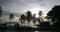 Coconut on the Beach twice light shadow and siluet