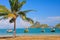 A Coconut and beautiful seascape, Thailand