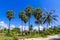 Coconut beautiful with sky at Beach Ban Krut Beach