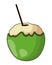 Coconut beverage icon