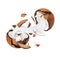 Coconut broken in the air into two halves with milk splashes, isolated on a white background