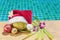 Coconut in Christmas Santa hat with festive decoration on side o