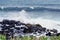 Coconut Coastline Along Kauai`s East Side, Hawaii, USA