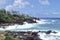 Coconut Coastline Along Kauai`s East Side, Hawaii, USA