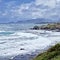 Coconut Coastline Along Kauai`s East Side, Hawaii, USA