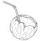 Coconut with a cocktail straw icon. Vector illustration of a broken coconut with a decorative umbrella for cocktails.