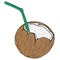 Coconut with a cocktail straw icon. Vector illustration of a broken coconut with a decorative umbrella for cocktails.