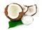 Coconut cocos with cream and green leaf