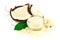 Coconut cocos with cream and green leaf