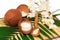 Coconut cocos with cream, wooden spoon, white orchid and green p