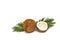 Coconut Cocos nucifera with half and palm leaves on a white background with space for text