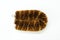 Coconut coir scrubbing brush, top view.