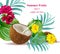 Coconut drink cocktail Tropical floral Summer refreshing background Vector