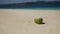 Coconut with drinking straw on the sand at the sea