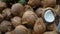 Coconut, with a fibrous brown shell