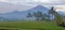 Coconut field and mountain sumbing