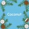 Coconut. Flat Vector Illustration EPS.