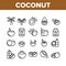 Coconut Food Collection Elements Icons Set Vector