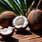 Coconut fresh raw organic fruit