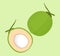 Coconut fresh young isolated on green soft background, illustration coconut half sliced for healthy food menu fruit juice, coconut