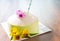 Coconut fruit cake with orchid flower on wood table