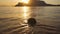 Coconut fruit float in shiny tropic ocean wave in golden sunset light on sandy beach. El Nido beach, Palawan island