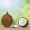 Coconut fruits in summer with copyspace