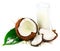 Coconut with glass of coconut milk and green leaf