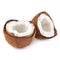 Coconut half