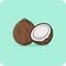 Coconut and half coconut Brown hard shelled, vector design and isolated background.