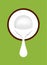 Coconut half cut and coconut milk white drop isolated on green, illustration brown coconut and milk cream pouring, clip art